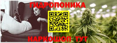 PSILOCYBIN Кингисепп
