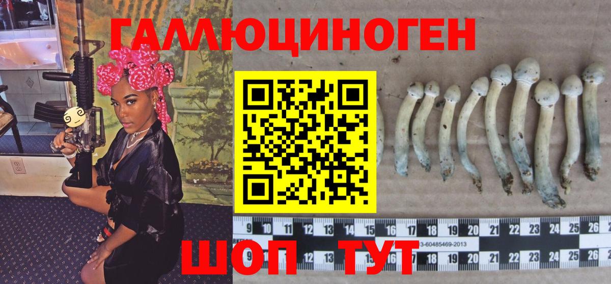 Феодосия  Галлюциногенные грибы Psilocybe  Галлюциногенные грибы мицелий  Вход с VPN 